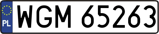 WGM65263