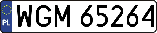 WGM65264