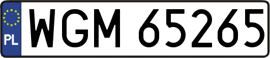 WGM65265