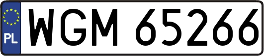 WGM65266