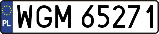 WGM65271