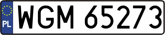 WGM65273