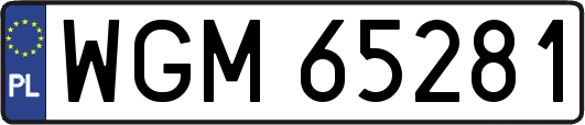 WGM65281