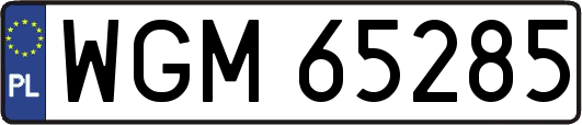 WGM65285