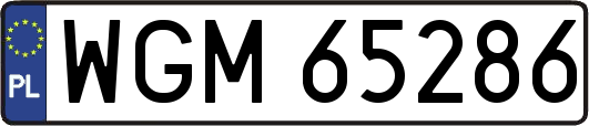WGM65286