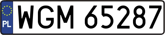 WGM65287