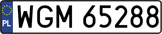 WGM65288