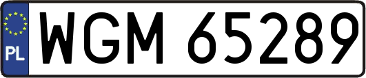 WGM65289