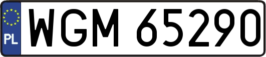 WGM65290