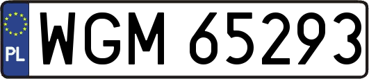 WGM65293