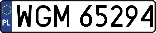 WGM65294