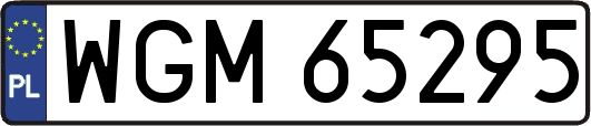 WGM65295