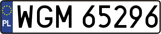 WGM65296