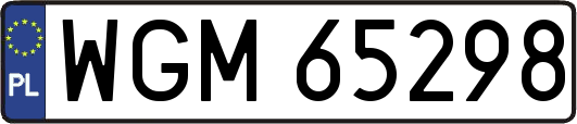 WGM65298