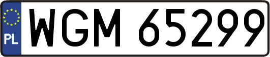 WGM65299