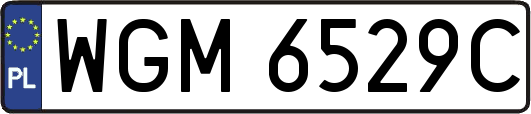 WGM6529C