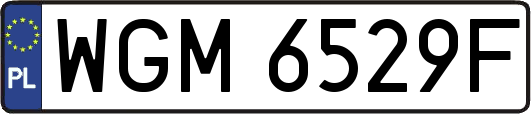 WGM6529F