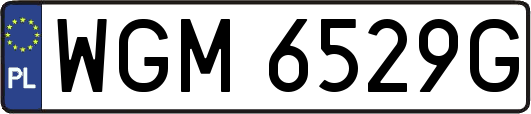 WGM6529G