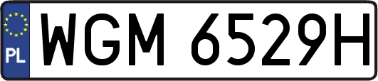WGM6529H