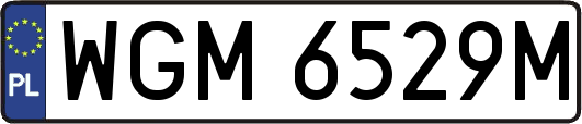 WGM6529M