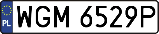 WGM6529P