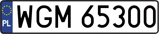 WGM65300