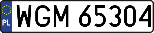 WGM65304