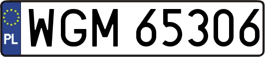 WGM65306