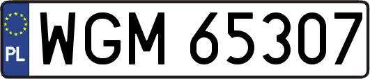 WGM65307