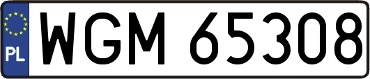 WGM65308