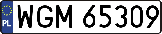 WGM65309