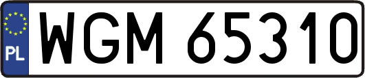 WGM65310
