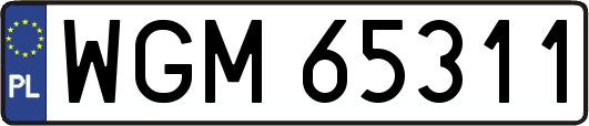 WGM65311