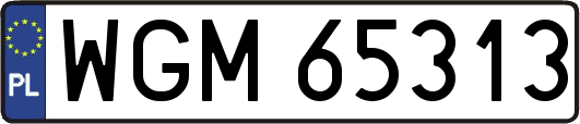WGM65313