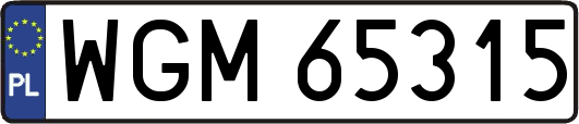 WGM65315