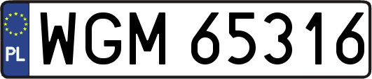 WGM65316