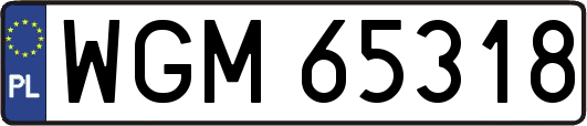 WGM65318