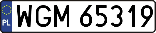 WGM65319
