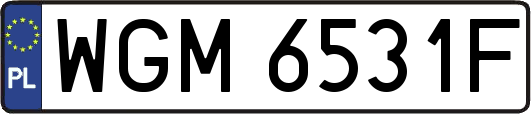 WGM6531F