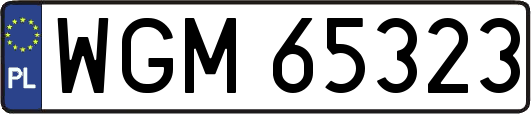 WGM65323