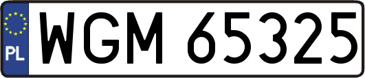 WGM65325