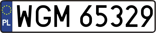 WGM65329