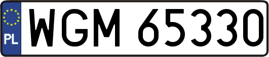 WGM65330