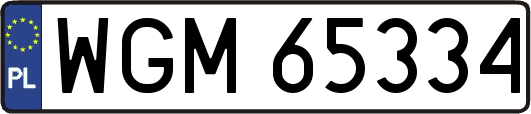 WGM65334