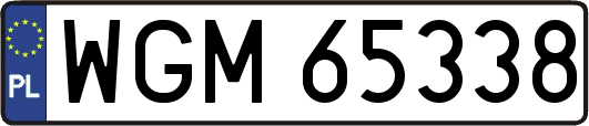 WGM65338