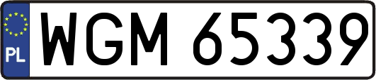 WGM65339