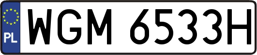 WGM6533H