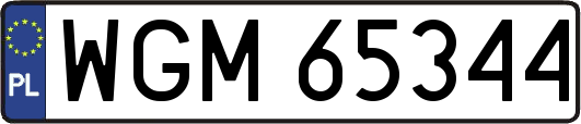 WGM65344