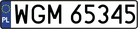 WGM65345