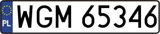 WGM65346